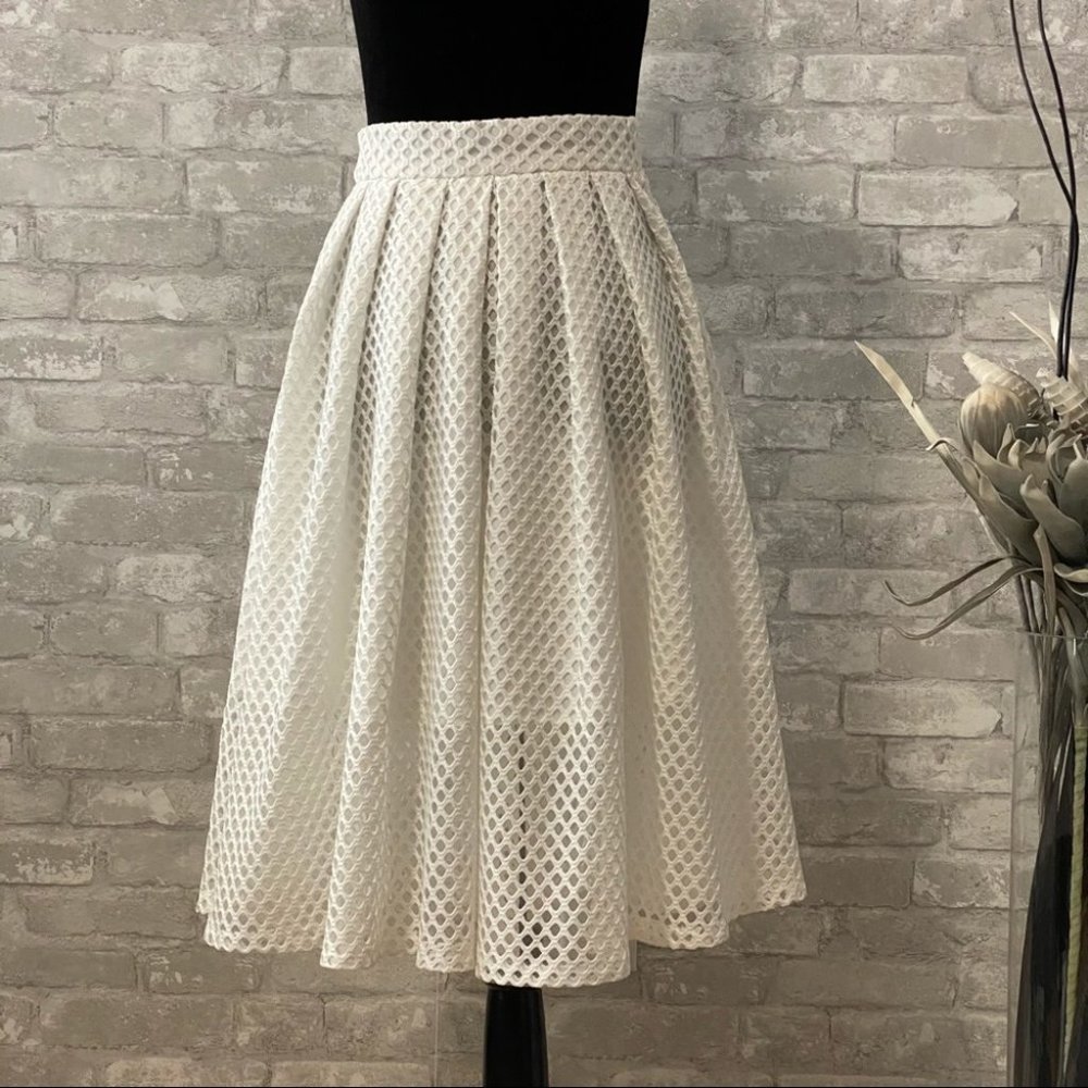 SOLD | Elegant Perforated Eyelet Poodle Skirt NWOT ⚡️HOST PICK⚡️ - Picture 6 of 14